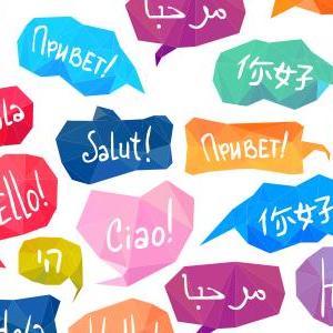 Portada del juego Language – Idiomas