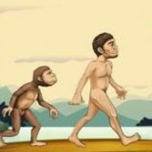 evolusion de la humanidad.
