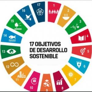 Objetivo de Desarrollo Sostenible #13