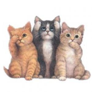 CONOCIENDO LOS ANIMALES..!!
