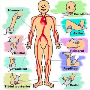 Imagen de portada del videojuego educativo: Pulsos arteriales , de la temática Salud