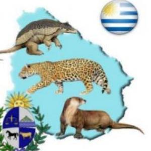 APRENDEMOS MÁS SOBRE ANIMALES AUTÓCTONOS