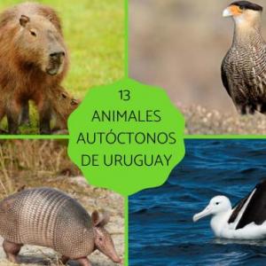 AHORCADO DE ANIMALES