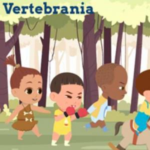 Vertebrania