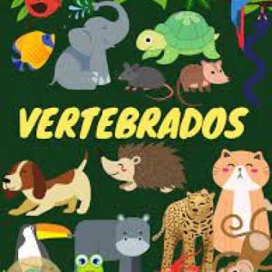 Duchazo de Vertebrados