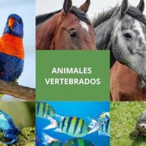 Trivia de Animales Vertebrados