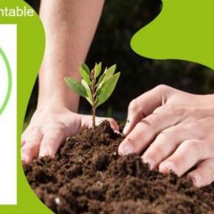 Imagen de portada del videojuego educativo: sustentabilidad y sostenibilidad, de la temática Biología