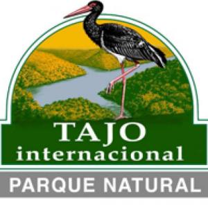 Mini-juegos Tajo Internacional