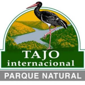 Mini-juegos Tajo Internacional