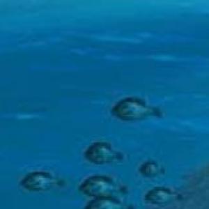 Portada del juego ATLANTIDA – Cultura general