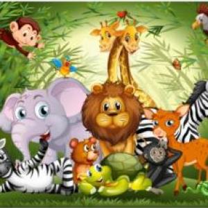 Reproducción de los animales