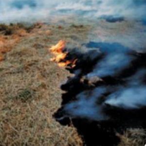 Trivia: incendios forestales