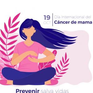 Imagen de portada del videojuego educativo: Octubre: Mes de la prevención contra el Cáncer de mama, de la temática Salud