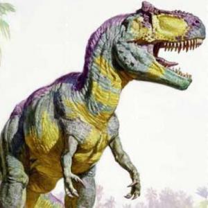 Imagen de portada del videojuego educativo: Maravilloso Mundo de Dinosaurios, de la temática Historia