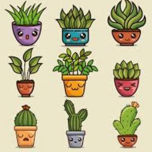 MEMO-PLANTA