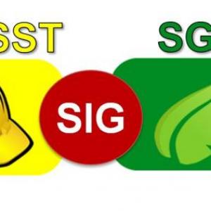 TERMINOLOGIA SGA & SST