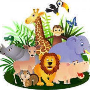 ANIMALES DE LA SELVA