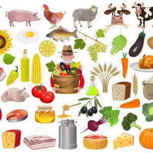 ALIMENATCION DE LOS ANIMALES
