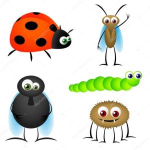datos ineteresantes de los insectos