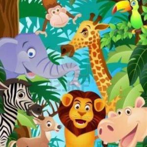 animales perdidos