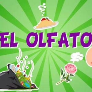  SENTIDO DEL OLFATO