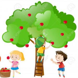 PLANTAS ALIMENTICIAS (frutas)