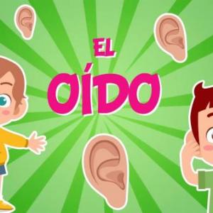 EL SENTIDO DEL OÍDO 