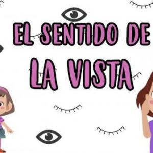 SENTIDO DE LA VISTA 