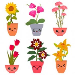  PLANTAS ORNAMENTALES 