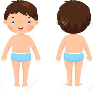 Partes del Cuerpo Humano