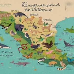 Biodiversidad