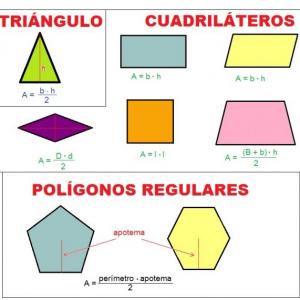 Descubre las areas