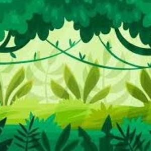 BUSCAMOS ANIMALES EN LA JUNGLA