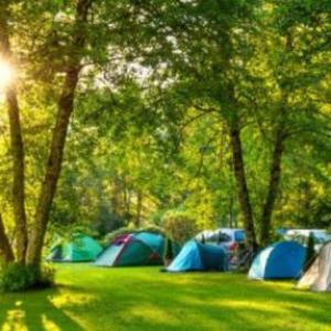 MEMOTEST DE CAMPAMENTO