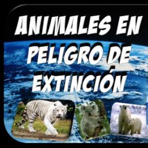 animales en peligro de extincion