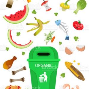 Memorama de Basura Orgánica