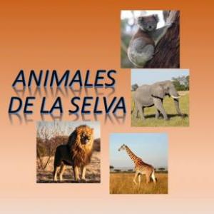 ANIMALES DE LA SELVA