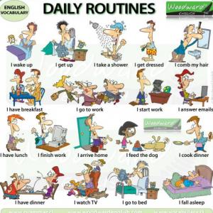 DAILY ROUTINE