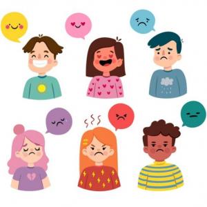 DESCUBRE LA EMOCIÓN