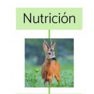 Función de la Nutrición