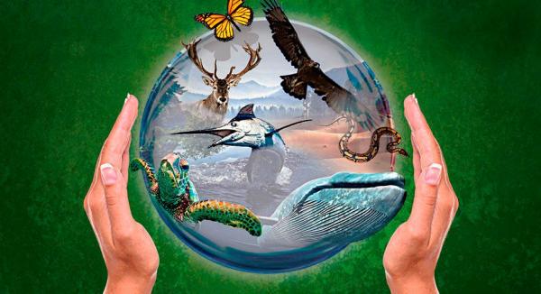 Patrones y tipos de biodiversidad