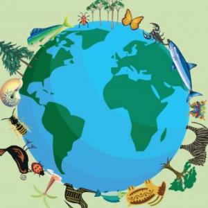 Biodiversidad