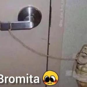 Memingo