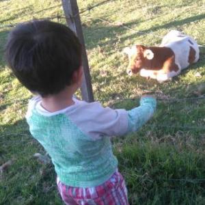 cuida nuestro medio ambiente