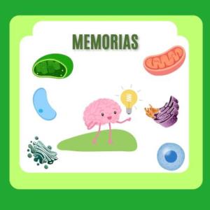 Organelos de mermoria