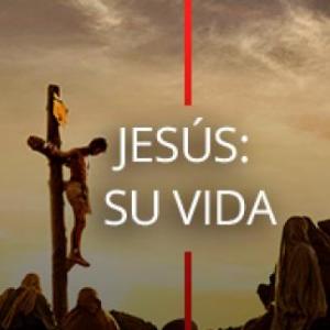 JUEGO EXÁMEN QUIMESTRAL