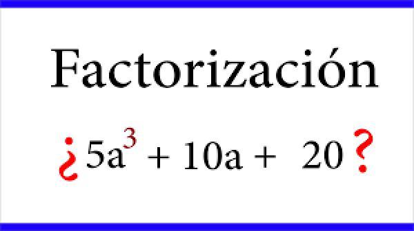 Mundo de la factorización 