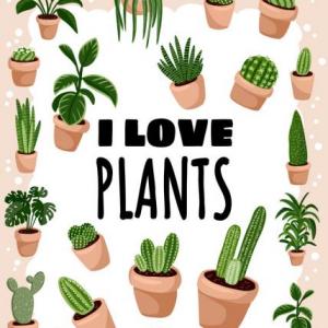 Plant reproduction
