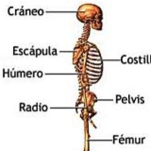 APRENDIENDO. EE.FF