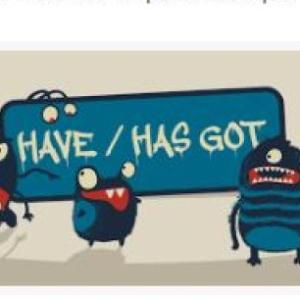 TO HAVE GOT 